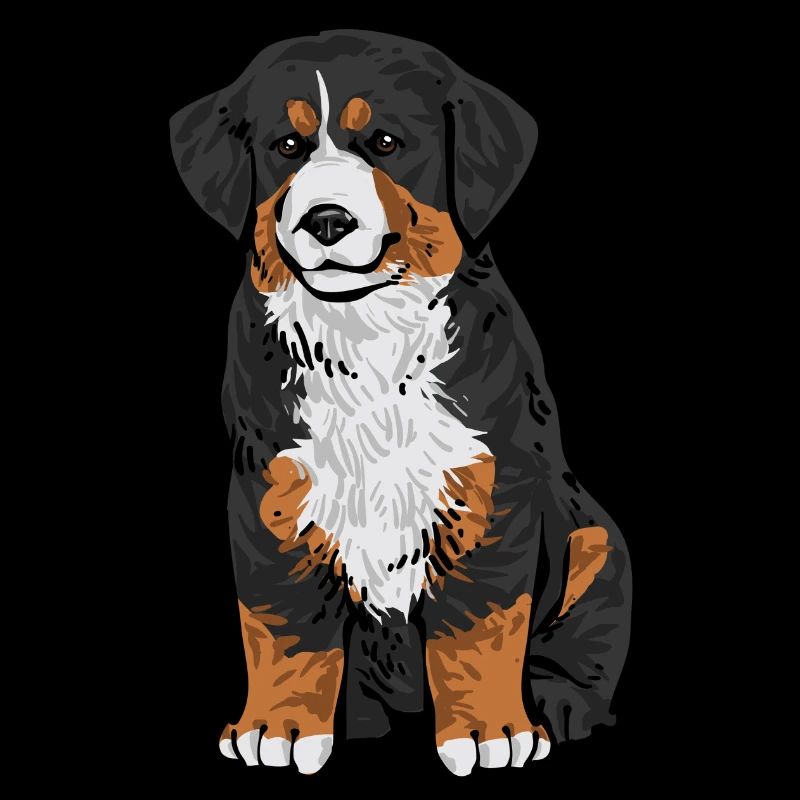 Bernese Mountain Dog