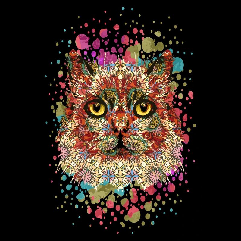 Katze