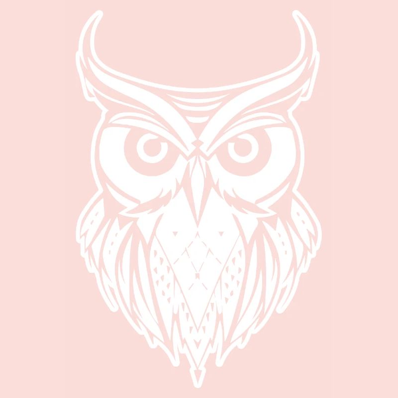 Eule Eulen Vogel Vögel