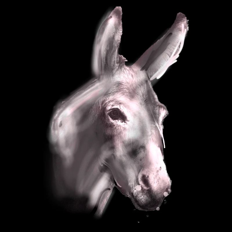 Âne, Graffiti, Peinture, Gris, Brun