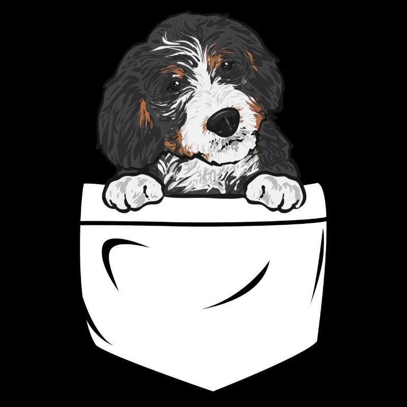 Bernedoodle Hund
