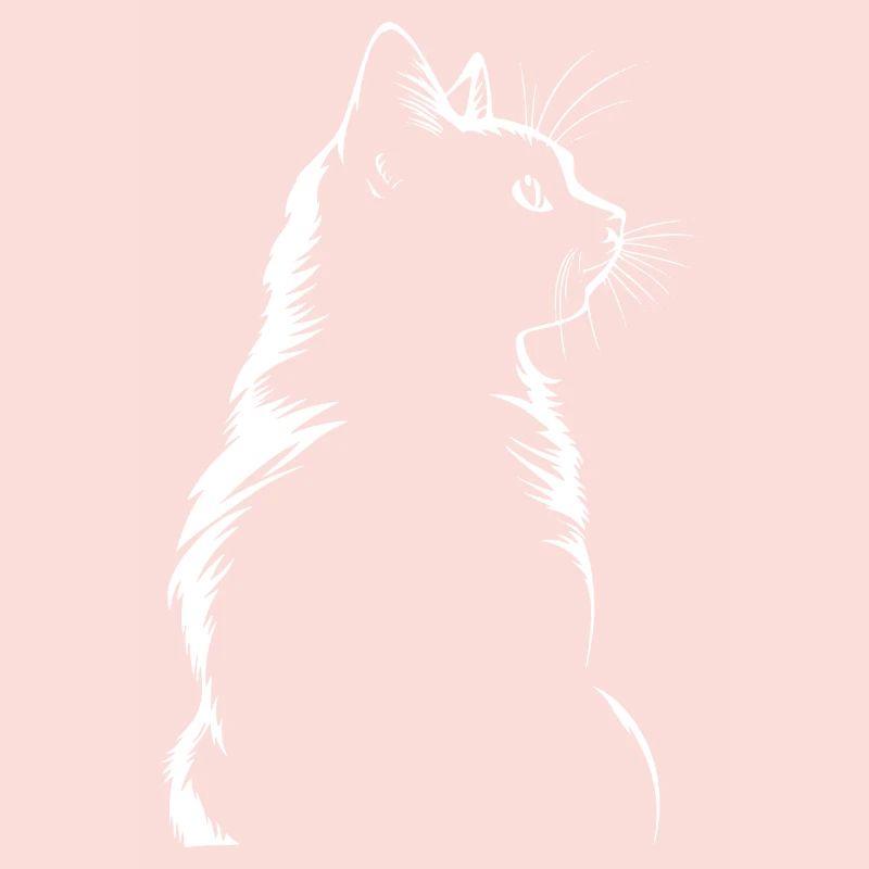 Chat, Motif De Chat