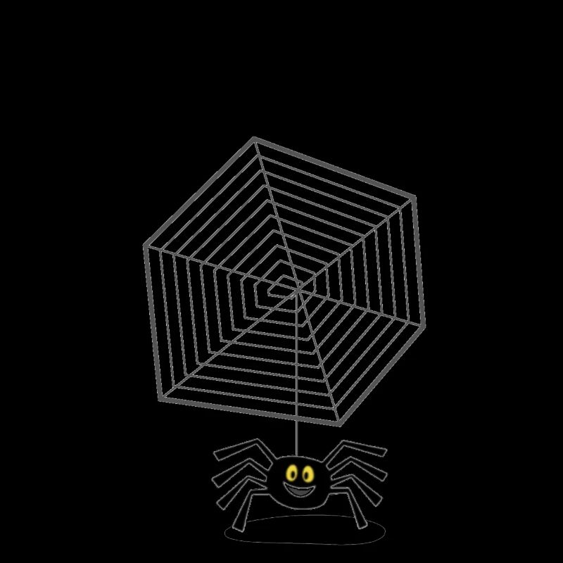Netz mit Spinne