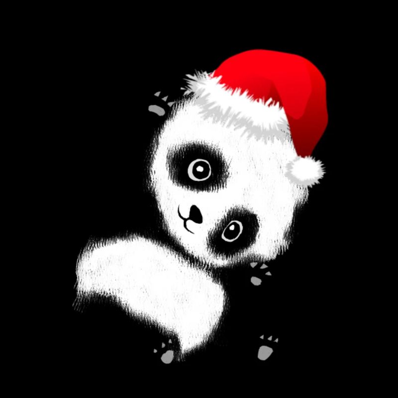 Weihnachtspanda