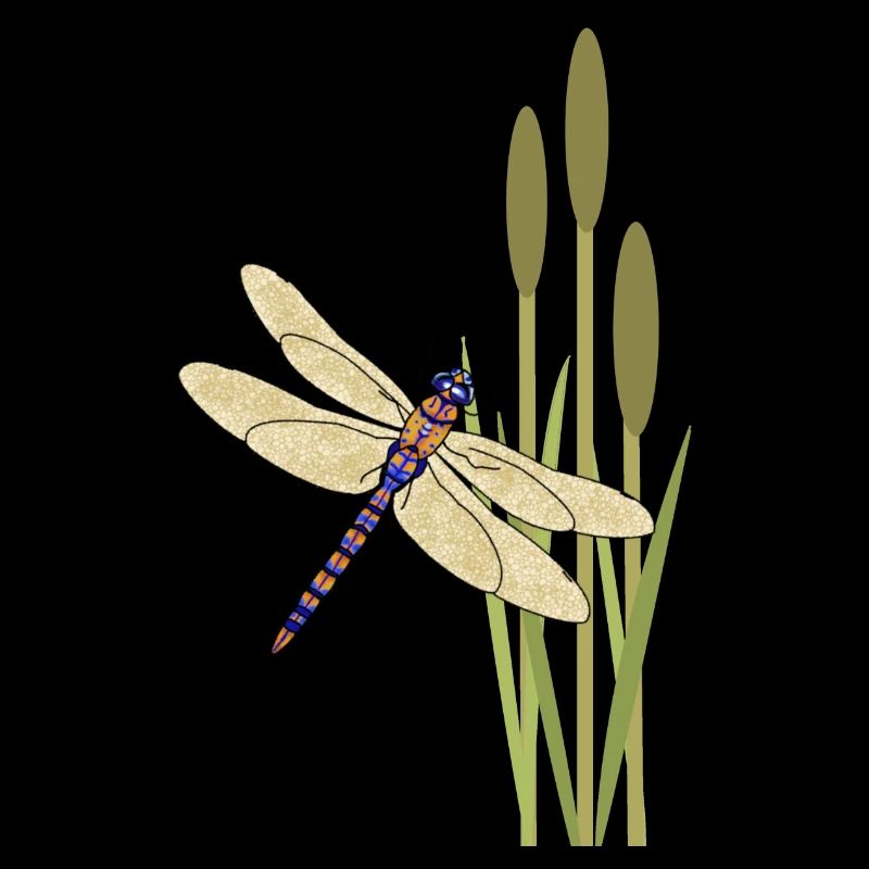 Libellule