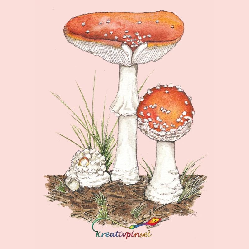Toadstool