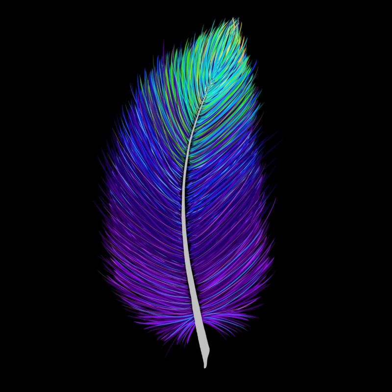Galaxy spring