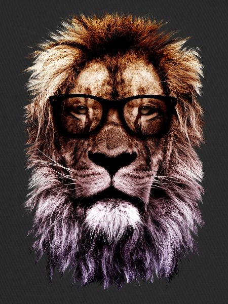 Hipster lion