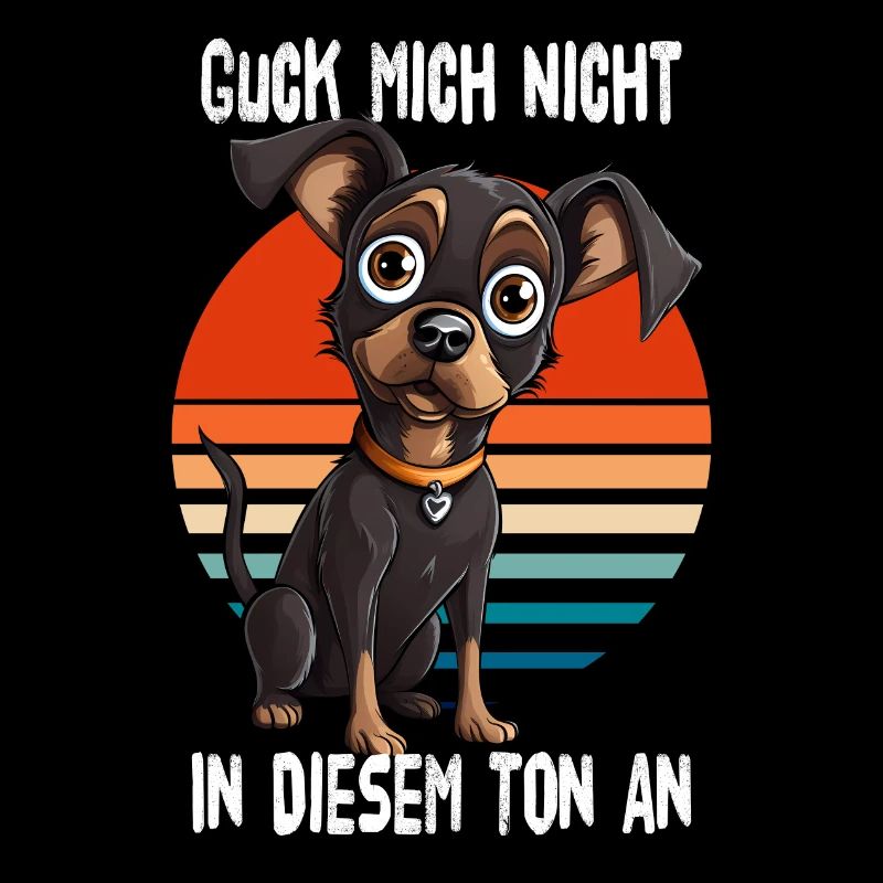 Ne me regarde pas sur ce ton Chihuahua