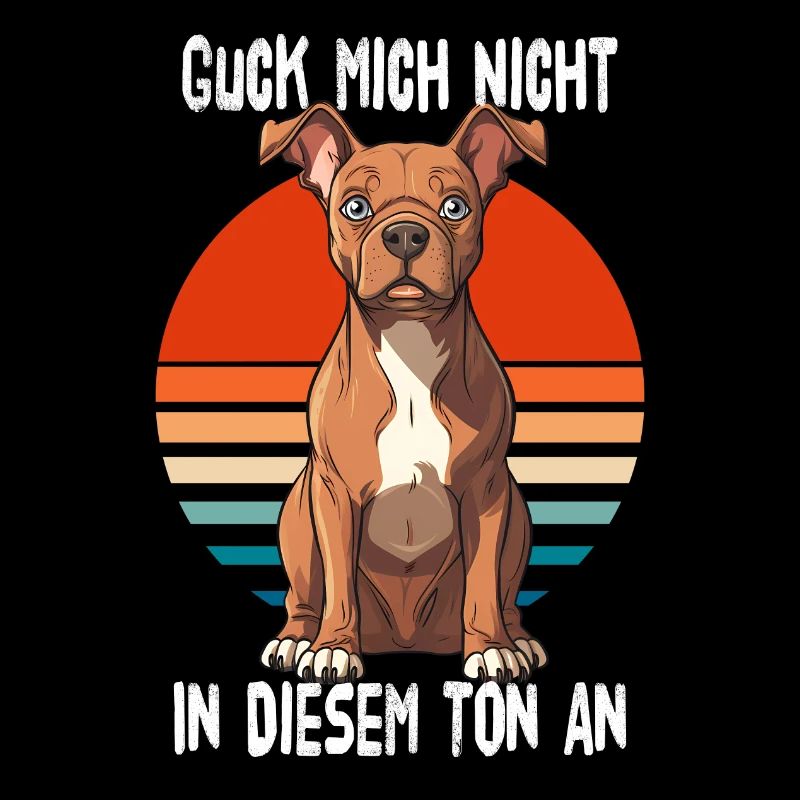 Ne me regarde pas dans ce ton Pitbull