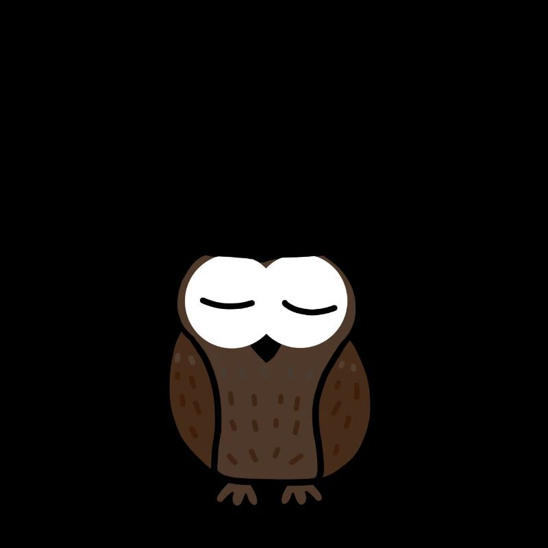 Nap Queen Eule Owl