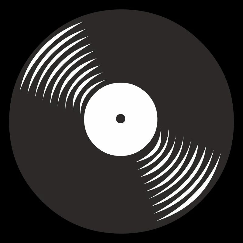 Disque Vinyle Vinyle DJ Idée Cadeau