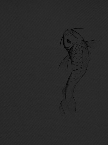 Koi