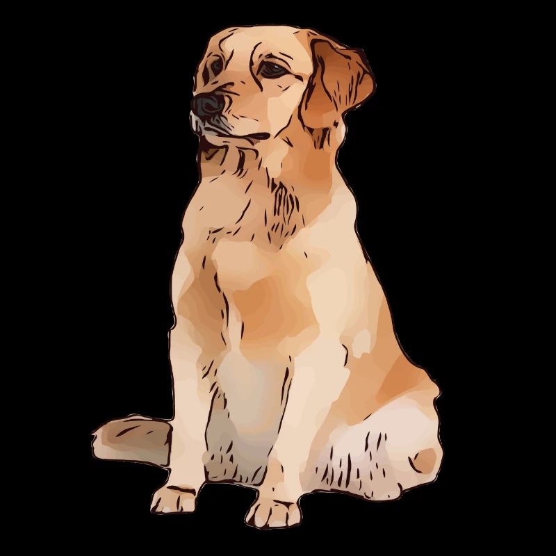 Labrador Golden Retriver Hund sitz platz Geschenk