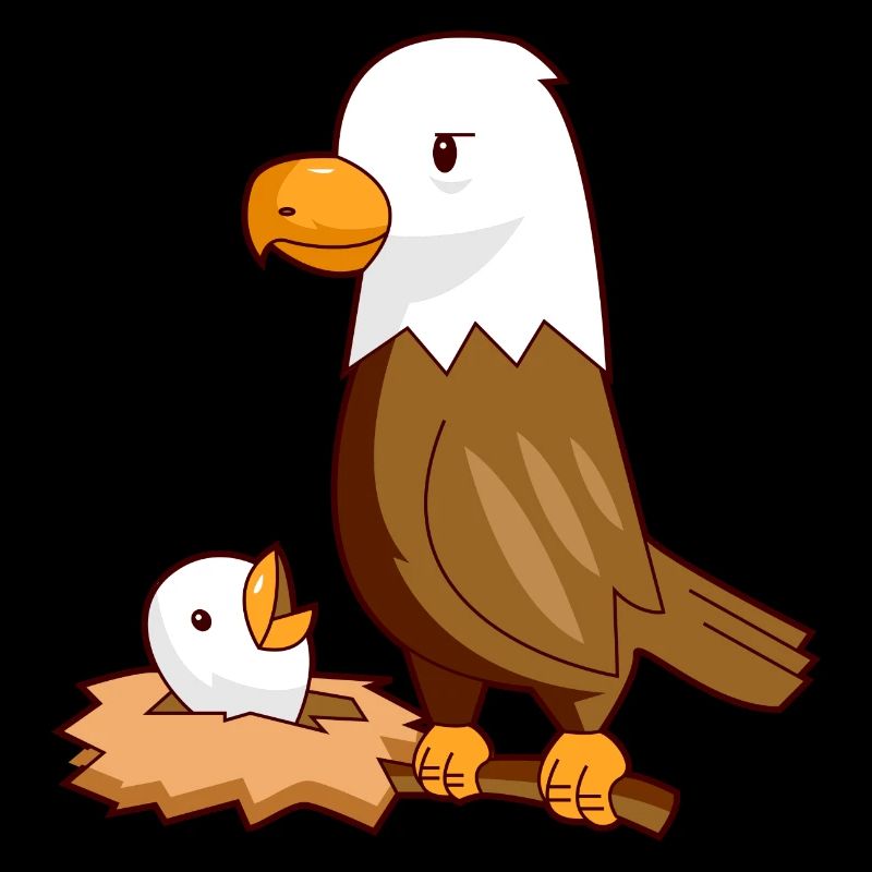 Nid d'aigle aigle bébé