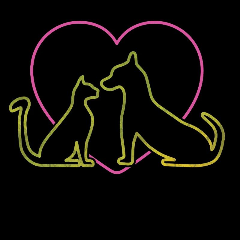 Hund Katze