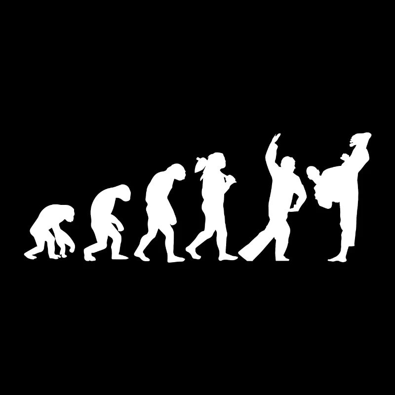 Kampfsport Human Evolution Taekwondo Geschenkidee