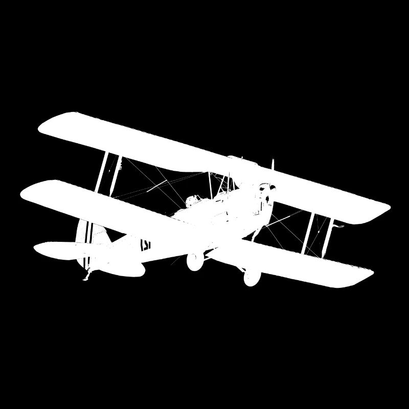 Biplane plane