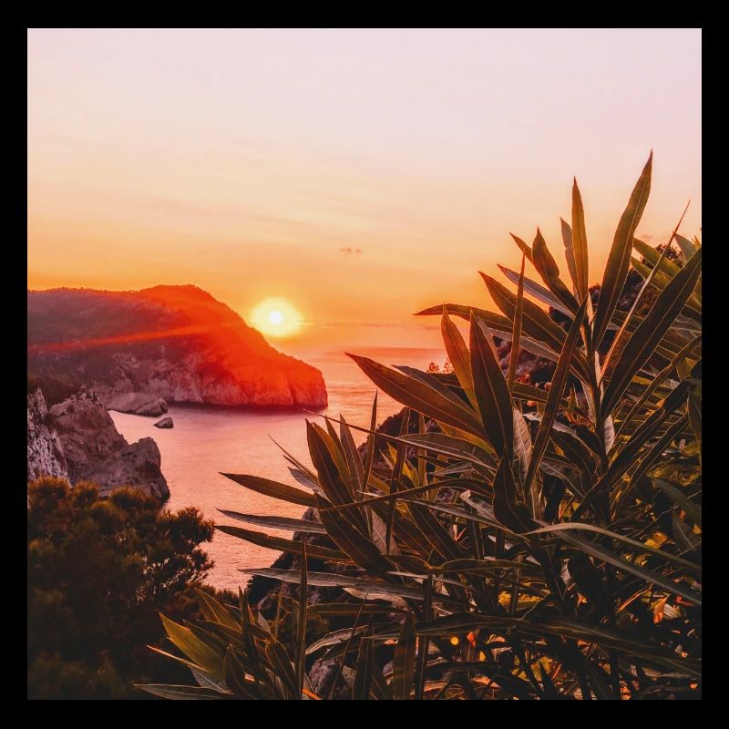 Ibiza sunset