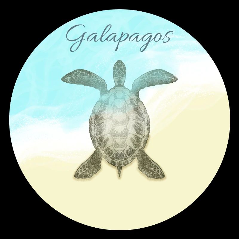 galapagos islands beach vacation sun turtle