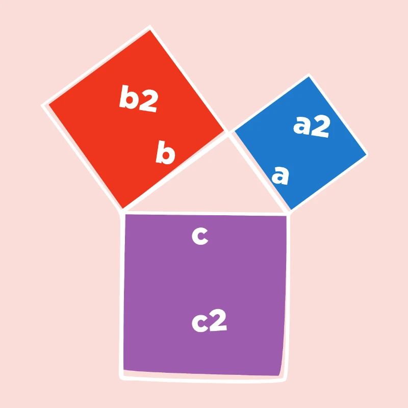 Pythagorean theorem triangle math lover poison