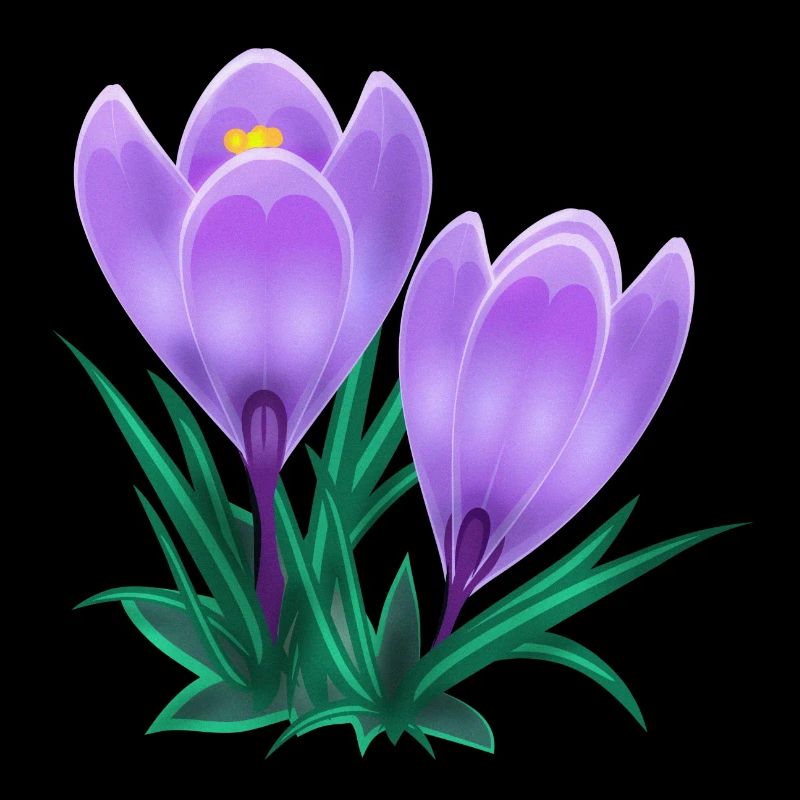 crocus