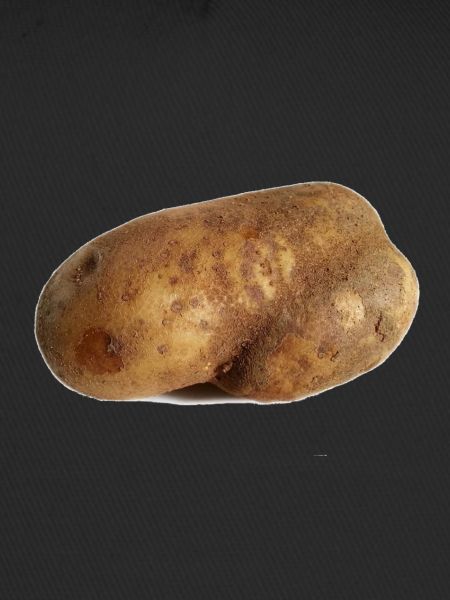 Potato potatoes