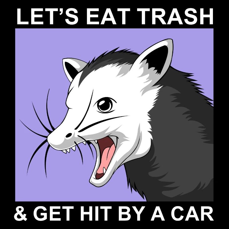 opossum (opossum)