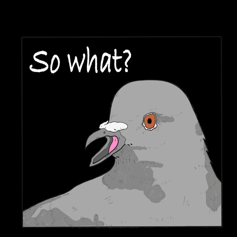 Pigeon - So what