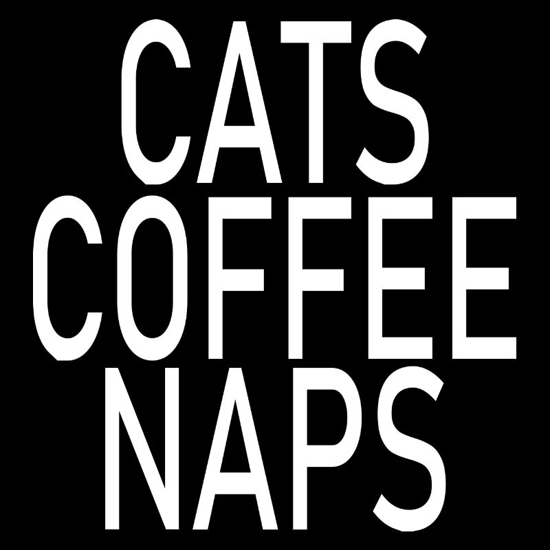 Chat Katze