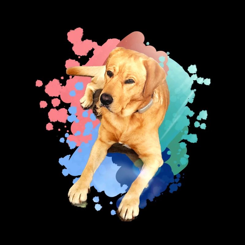 Labrador, Golden Retriever, graffit, malerei