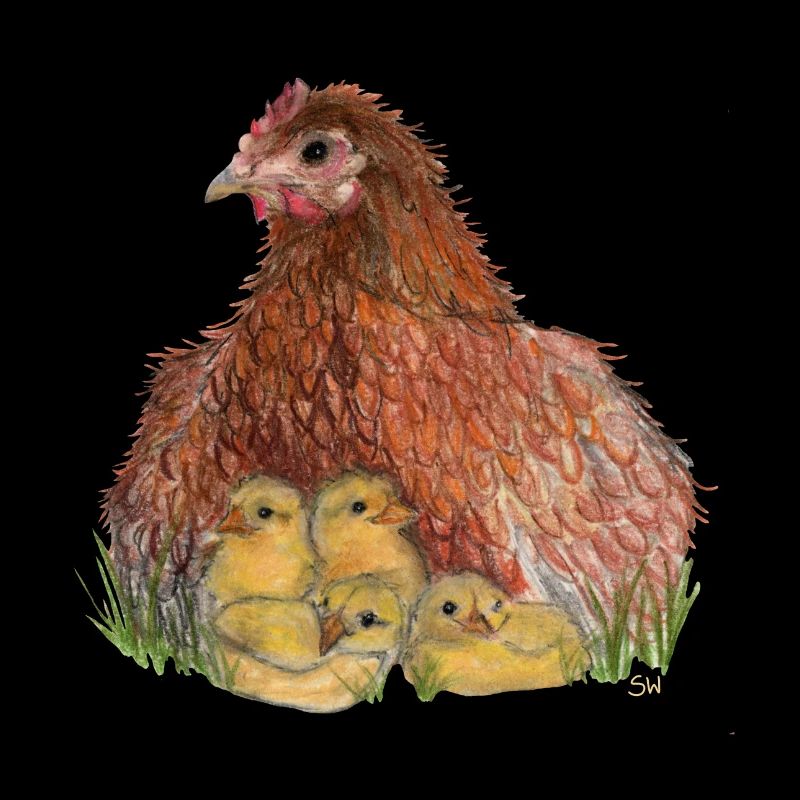 Huhn mit Küken in Wiese