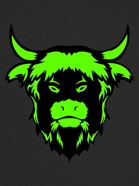 buffalo bull