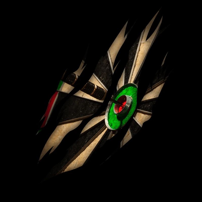 Darts Player Dart Throw Dart Disc