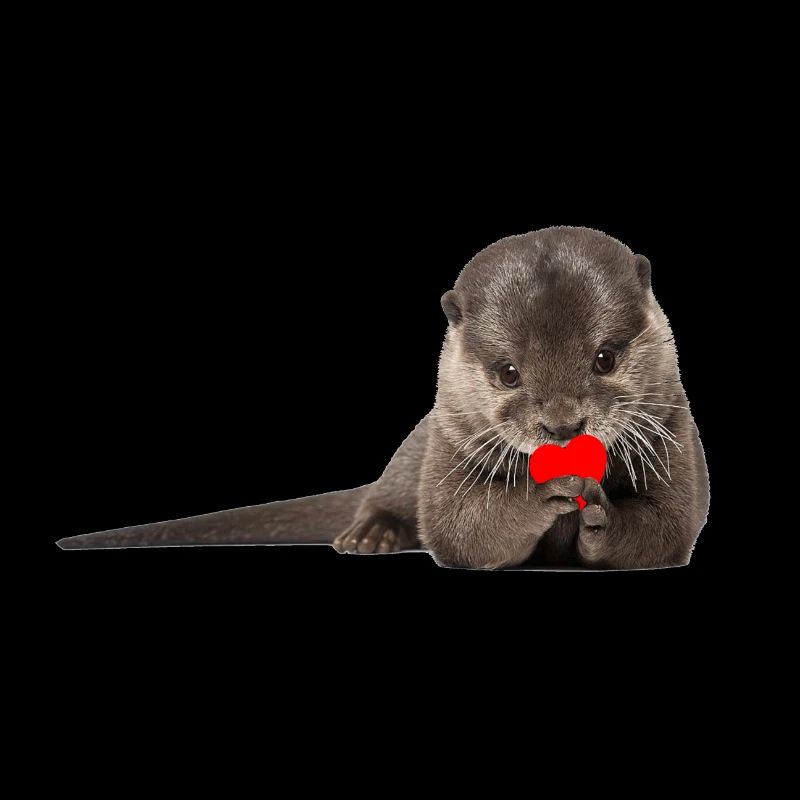 Otter love gift idea