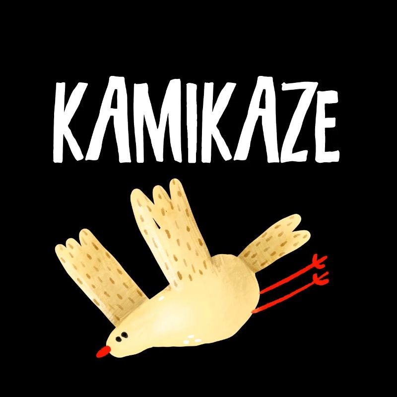 Kamikaze | Vogel im Sturzflug