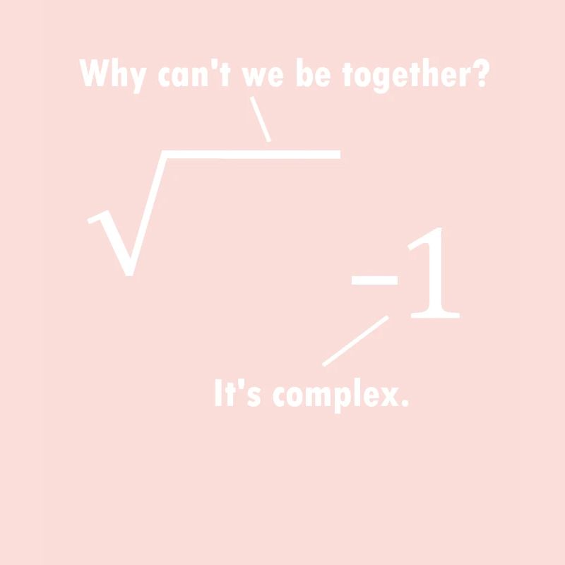 Math joke mathematician gift nerd teacher