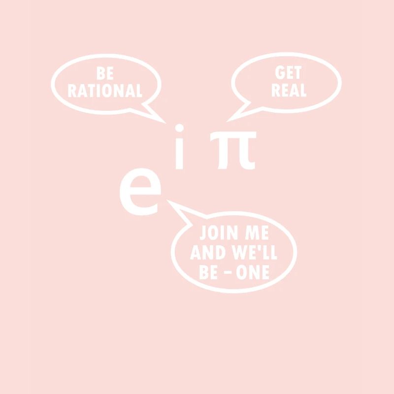 Mathematician Gift Math Teacher Nerd Euler Pi