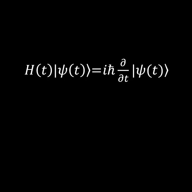 Schrödinger Equation Physicist Gift Physics