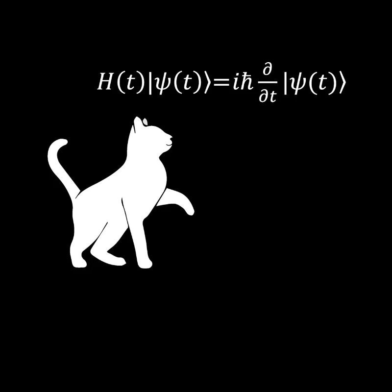 Schrödingers Katze - Physiker Geschenk Physik Nerd