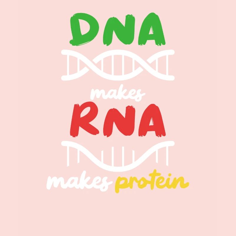 Aus DNA wird RNA wird Protein