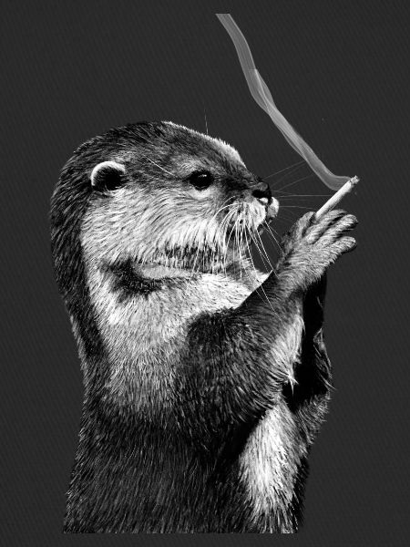 Otter