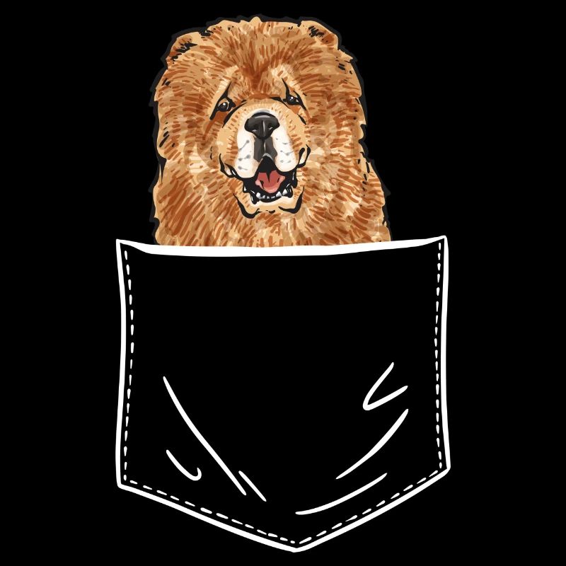 Chow Chow Chien