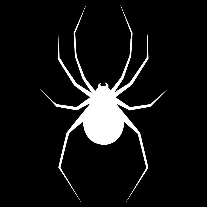 Spinne