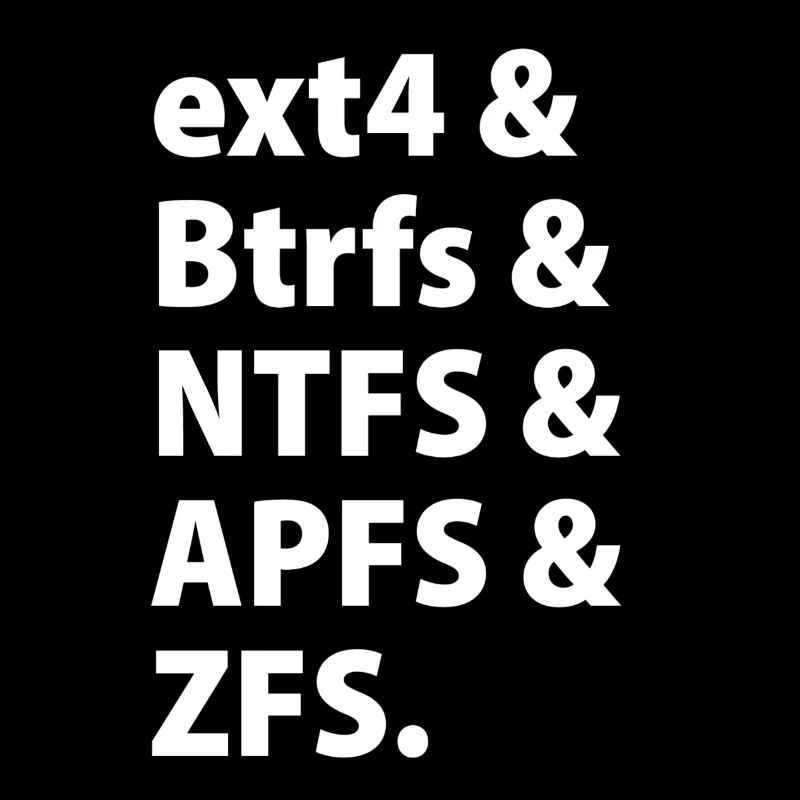 ext4 & Btrfs & NTFS & APFS & ZFS.