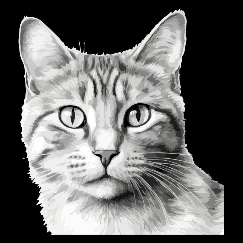 Bli le chat