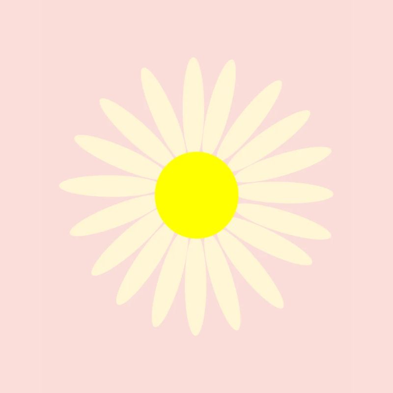 gaensebluemchen