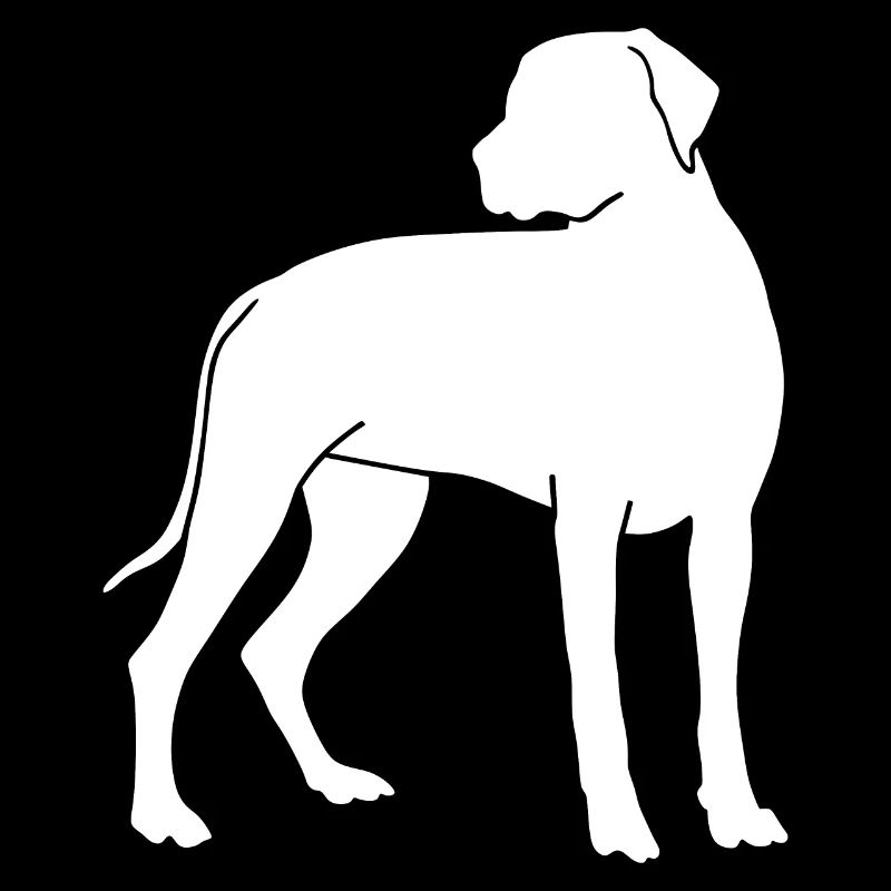 Rhodesian Ridgeback