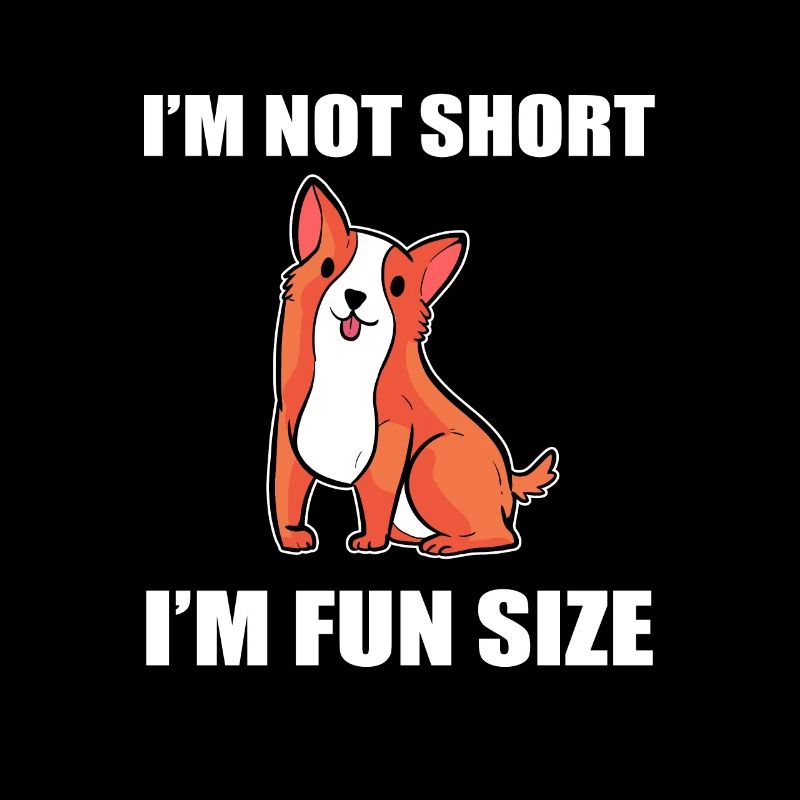 Corgi