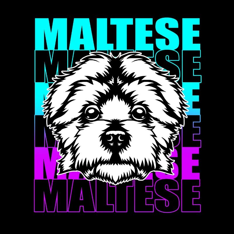 Malteser Hund
